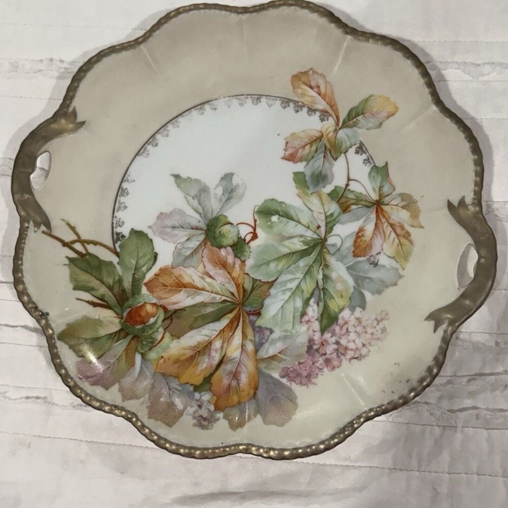 Cottage Germany Floral Plate Grandma Shabby Chic Tab Handled   10" VTG‎